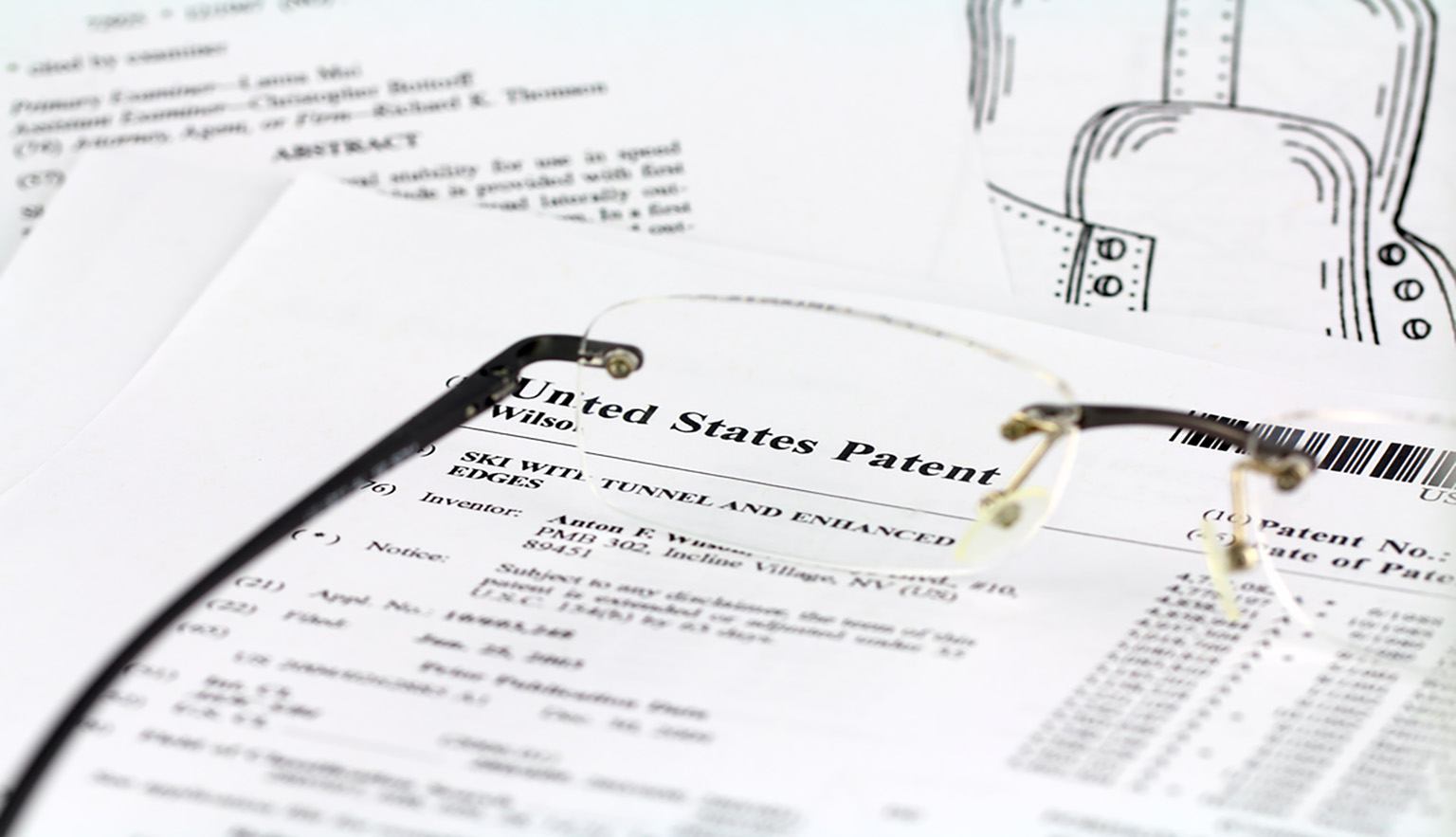 IP Primer Image Intellectual Property